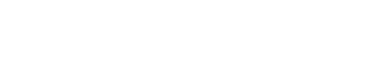 Lifestyle Loans